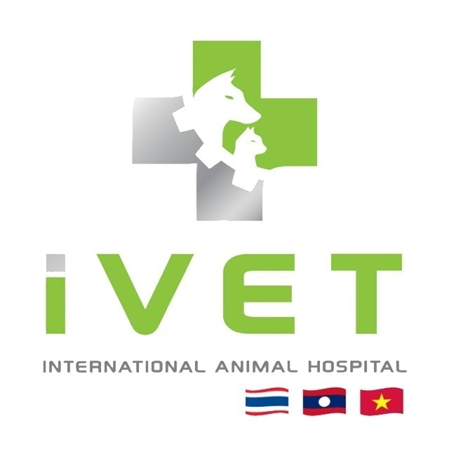 ตรวจสุขภาพสุนัข ที่ไหนดี ปี 2026 รวมโปรแกรม ตรวจประจำปี 4
