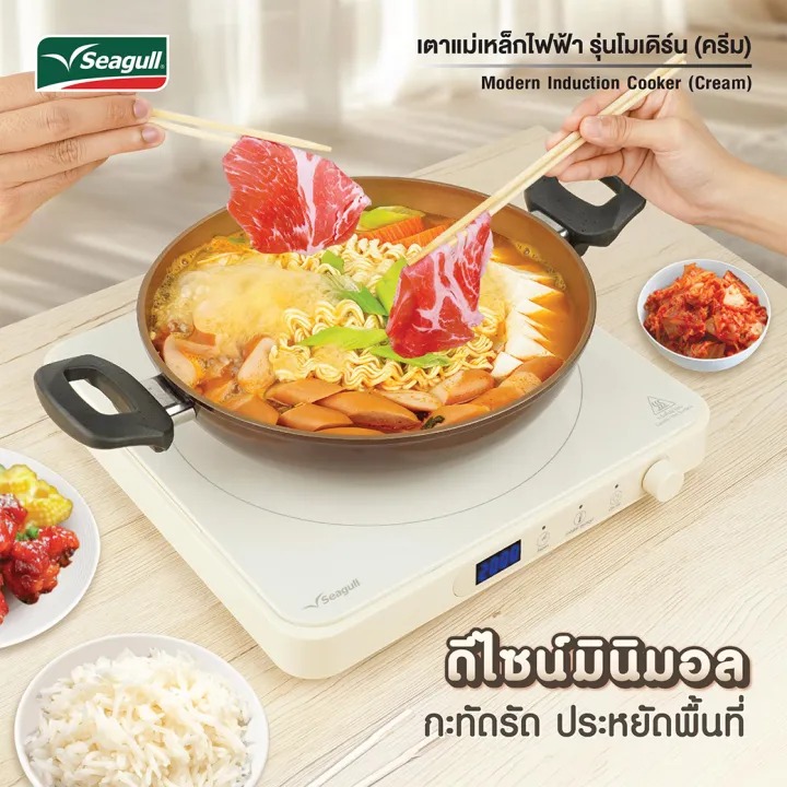 เตาแม่เหล็กไฟฟ้า Modern Induction Cooker 2