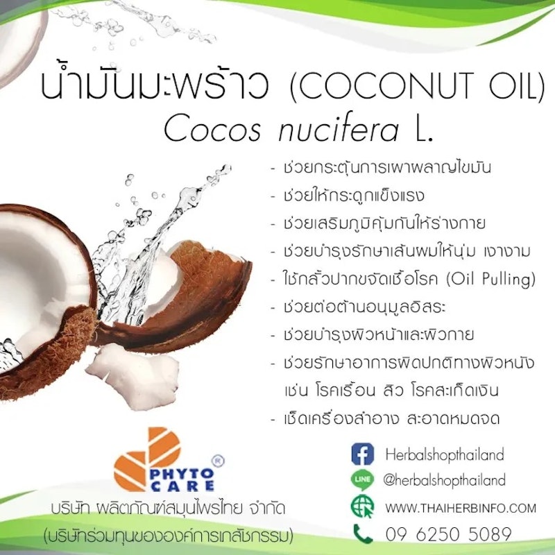 น้ำมันมะพร้าวบริสุทธ์ 100% สกัดเย็น 2