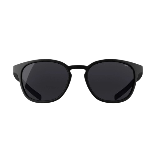 Category 3 Pantos Sunglasses 1