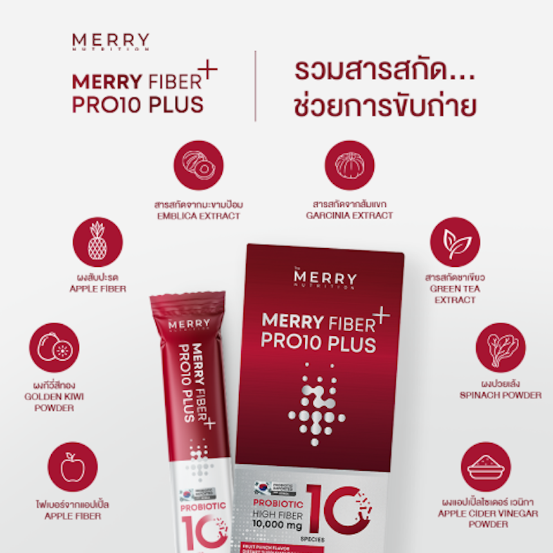 Fiber PRO10 Plus 3