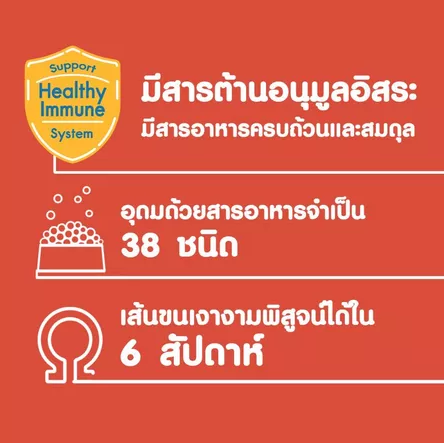 อาหารเม็ดสุนัขพันธุ์เล็ก รสวัว แกะ และผัก 2
