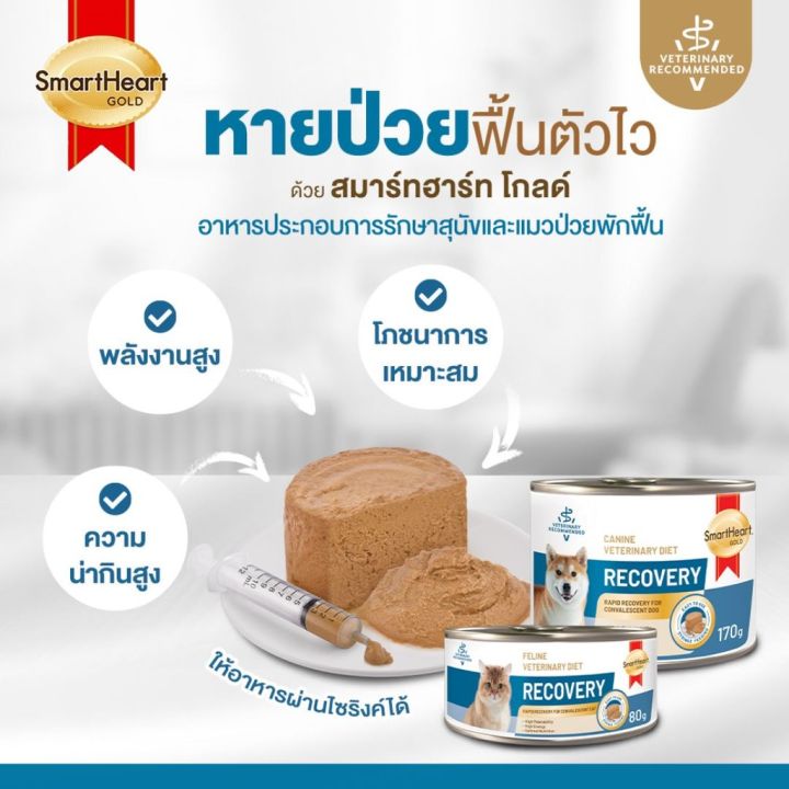Recovery อาหารสุนัขป่วย  2