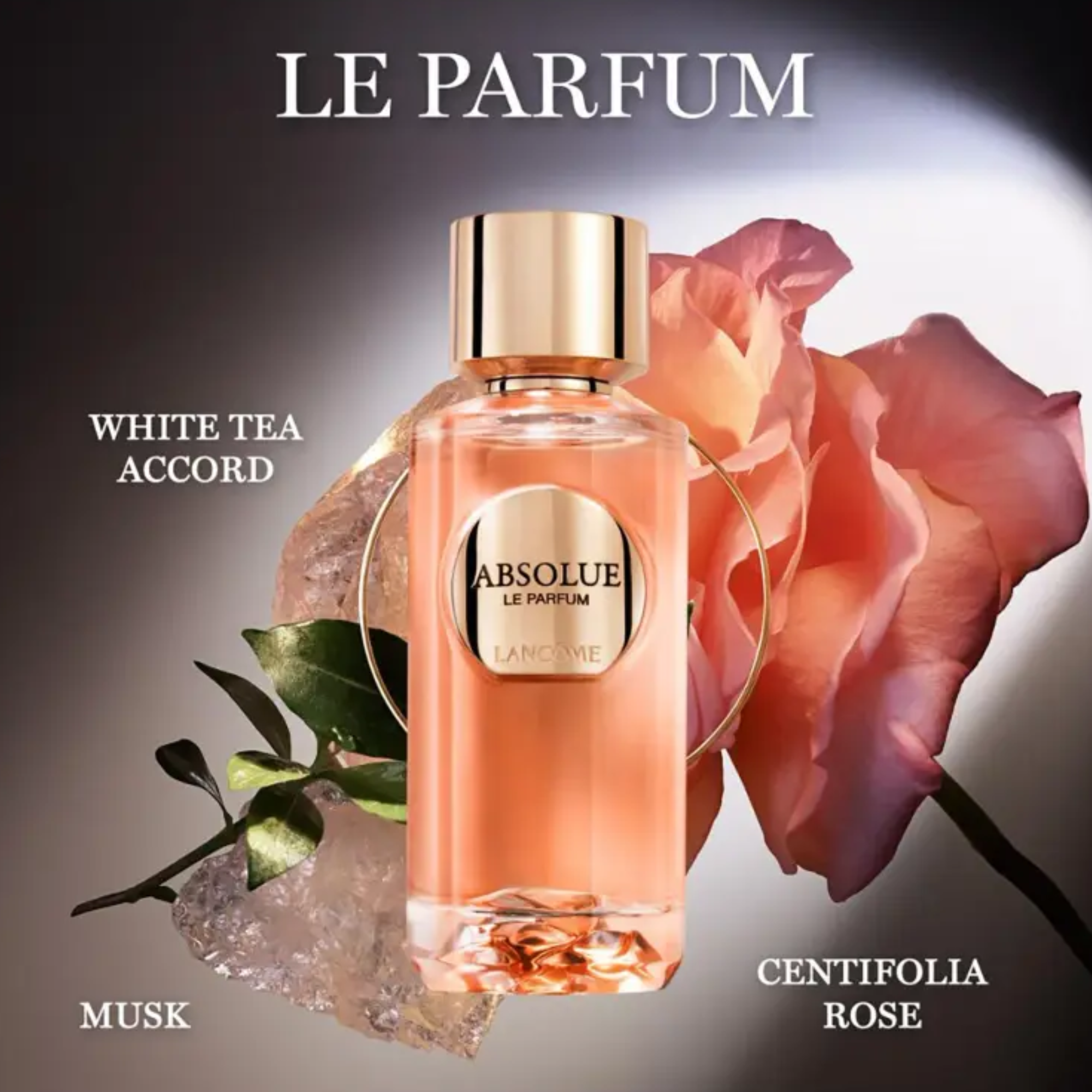 ABSOLUE LES PARFUM LE PARFUM 3