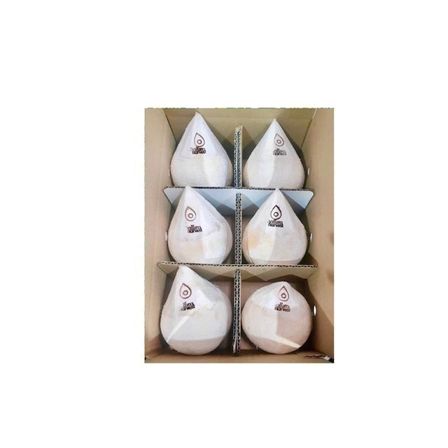 ของไหว้ ร.5 มะพร้าวน้ำหอม  2