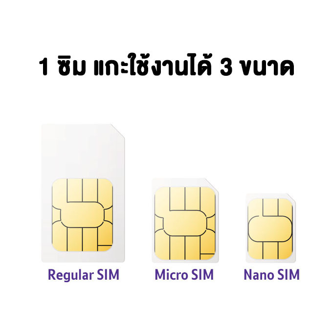 ZEED SIM 3