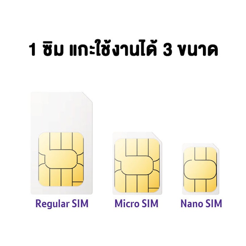ZEED SIM 3