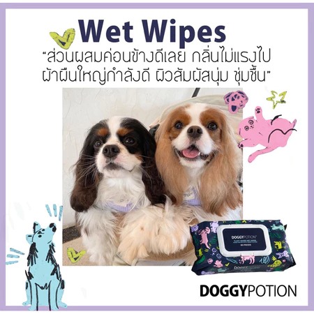 Wet Wipe ทิชชู่เปียก ย่อยสลายได้ 3
