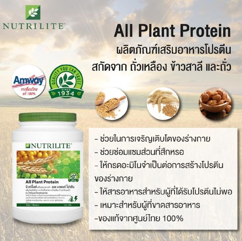 All Plant Protein 2