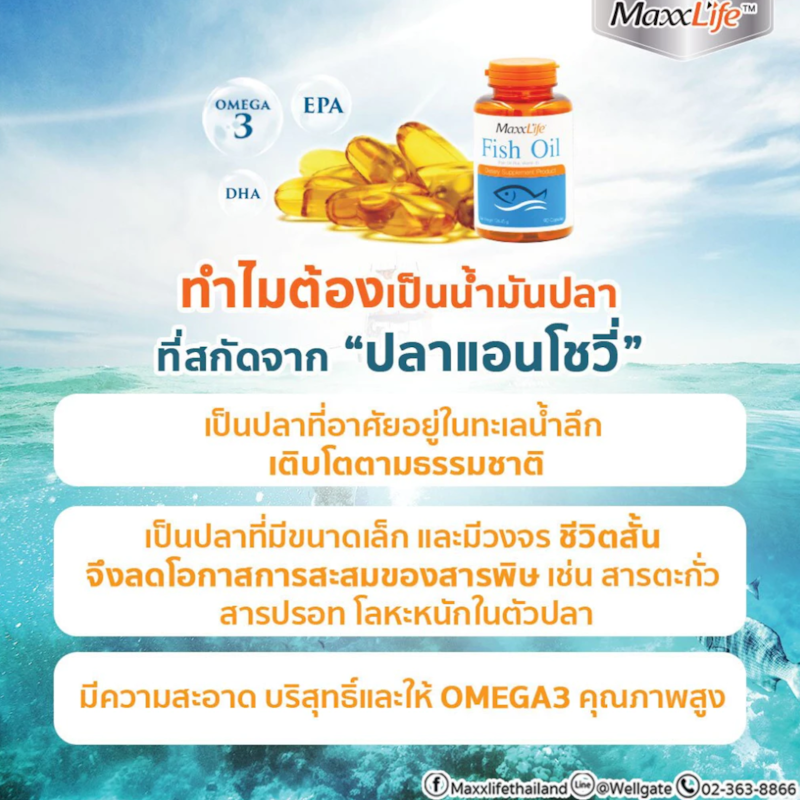 Fish Oil 3