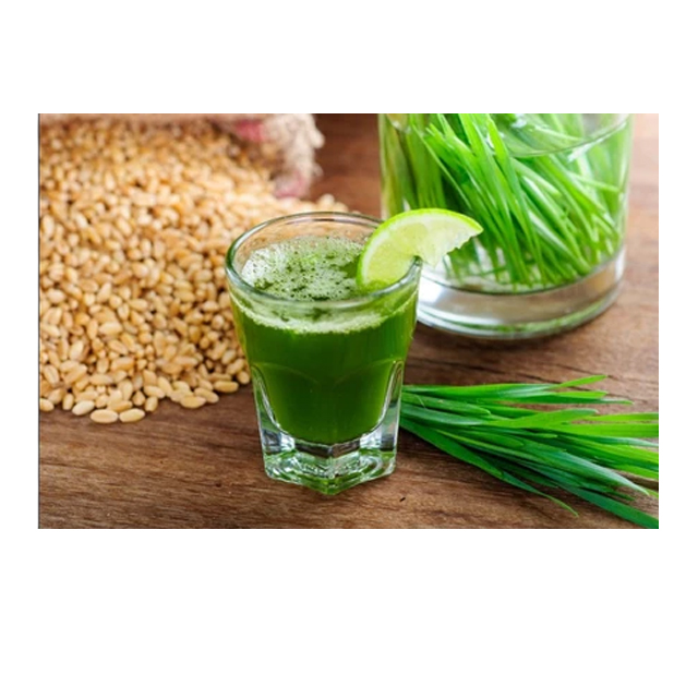 ผงต้นอ่อนข้าวสาลี Organic Wheat Grass Powder 2