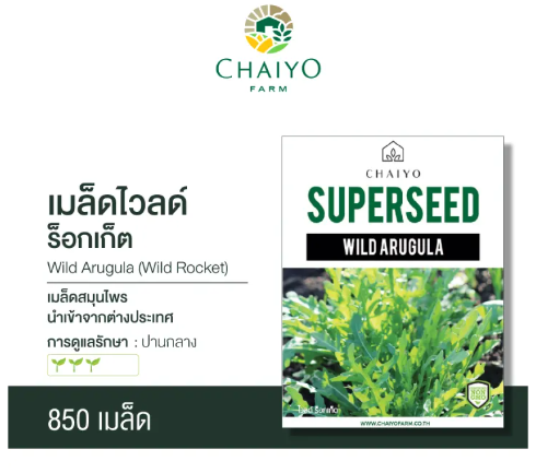 เมล็ดพันธุ์ไวลด์ ร็อกเก็ต 3