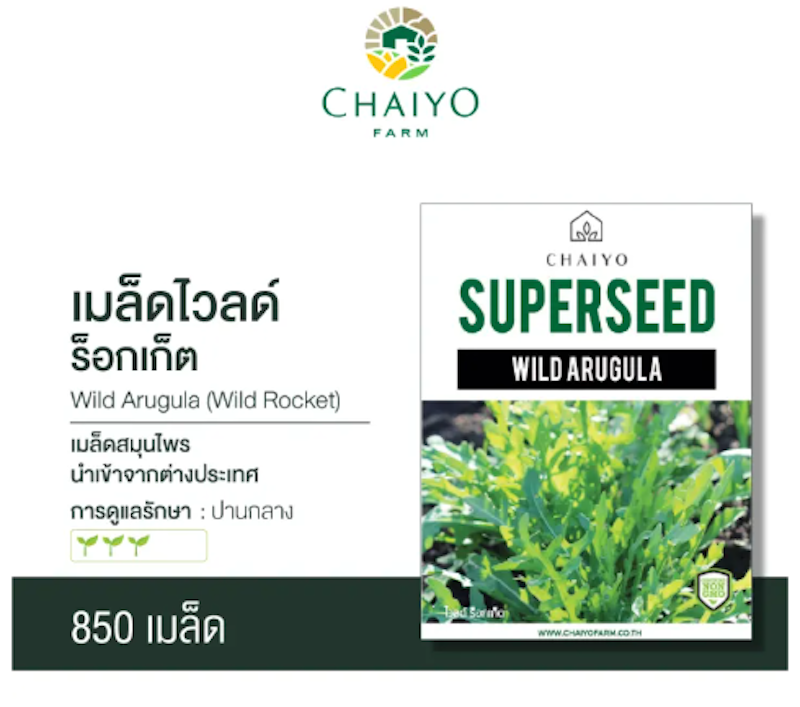 เมล็ดพันธุ์ไวลด์ ร็อกเก็ต 3