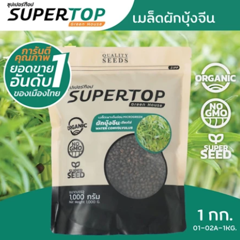 เมล็ดเพาะต้นอ่อน ผักบุ้งจีน พันธุ์เรียวไผ่ 3