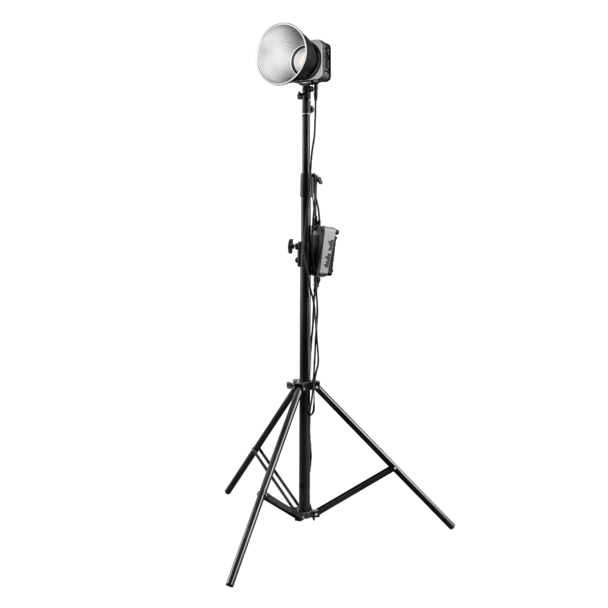 Molus LED Light 3
