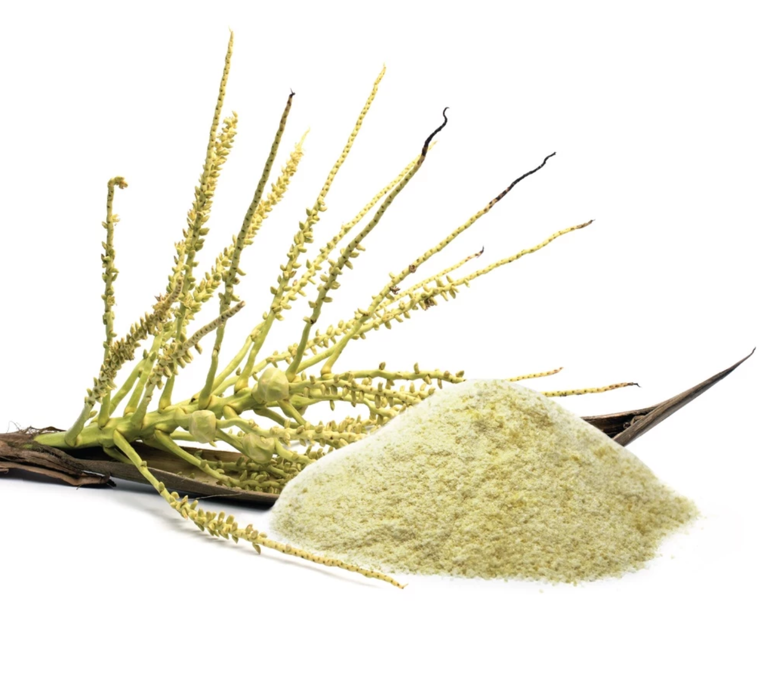 Organic Thai Pure Coconut Sugar Granule  2