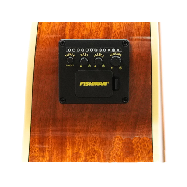 Acoustic Bass AB-5  3