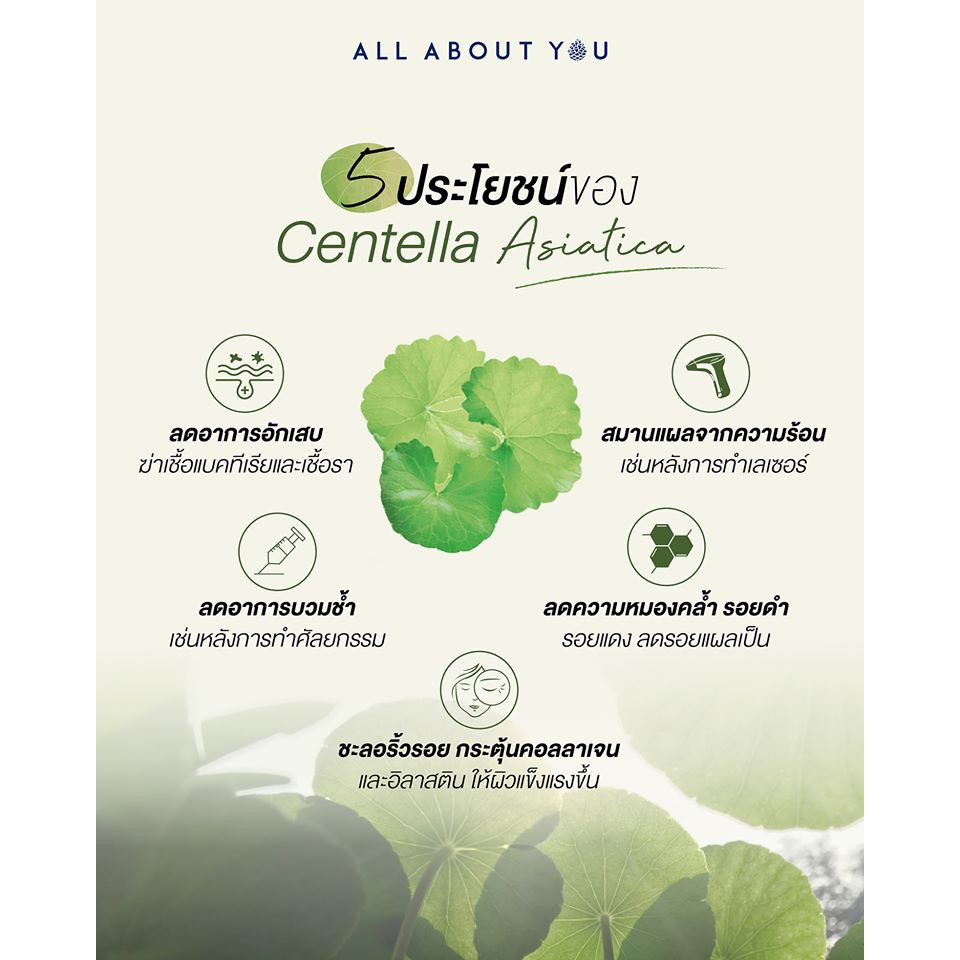 Madagascar Centella Watergel Sheet Ampoule Mask 2
