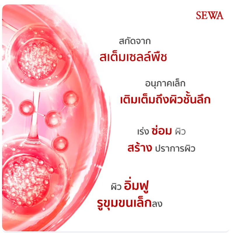 Insam Essence Cellxosome 3