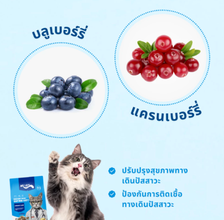 อาหารแมว Holistic Premium T3 2