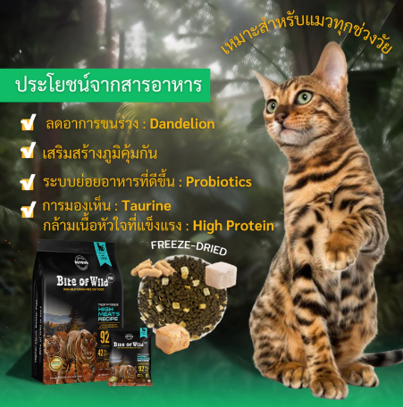 อาหารแมว P42 Grain Free 2