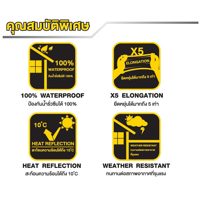 สีทากันน้ำรั่วซึม Roof Sealer 3