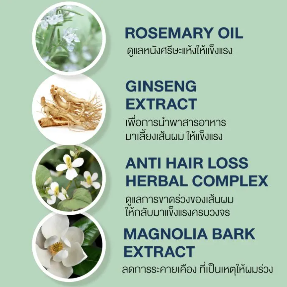 แชมพู Hair&Scalp Revitalizing Shampoo Rosemary & Ginseng Extract 3