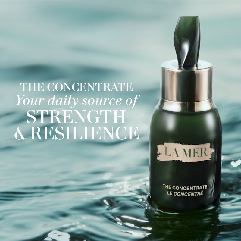 The Concentrate 2