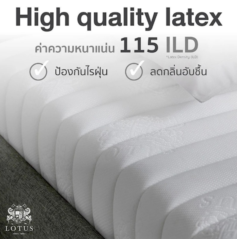 ที่นอนยางพาราไฮบริด รุ่น Spring Free I Plus 3