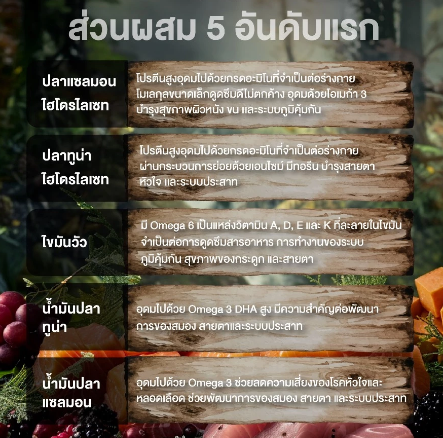 อาหารแมว Wildology Major Hunter 2