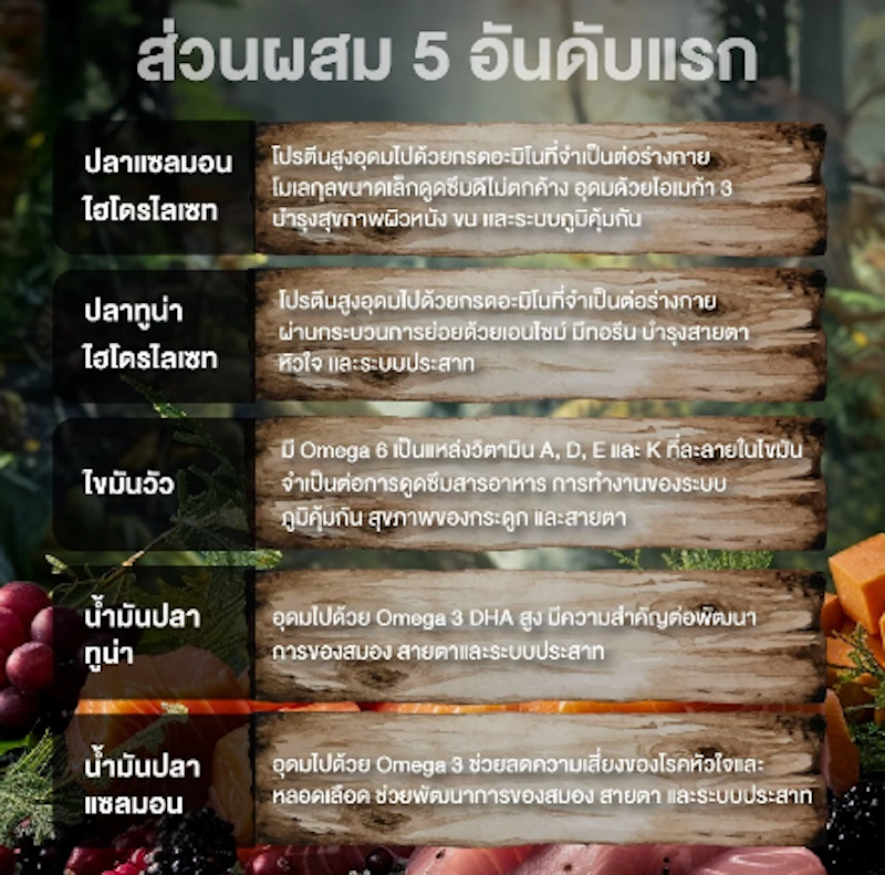 อาหารแมว Wildology Major Hunter 2