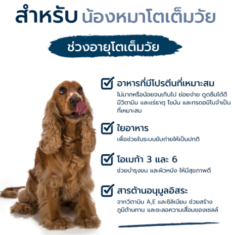 Karibik (Grain Free) 3