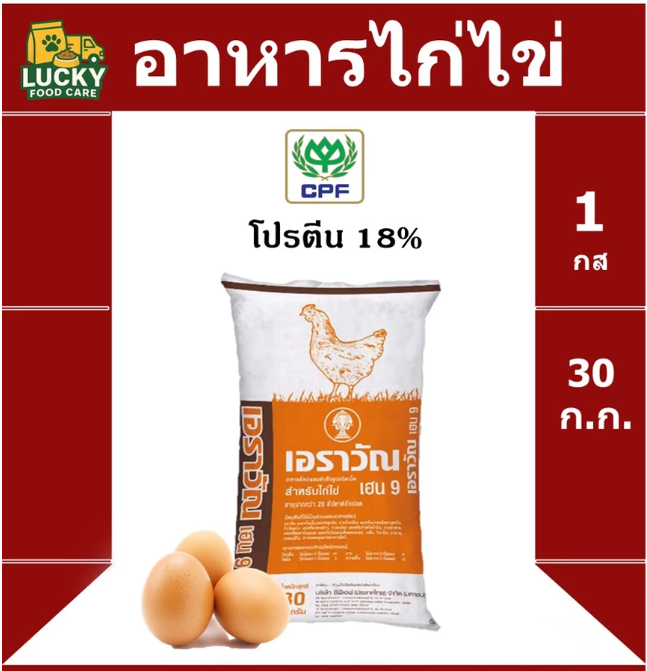 อาหารไก่ไข่ เฮน 9  2