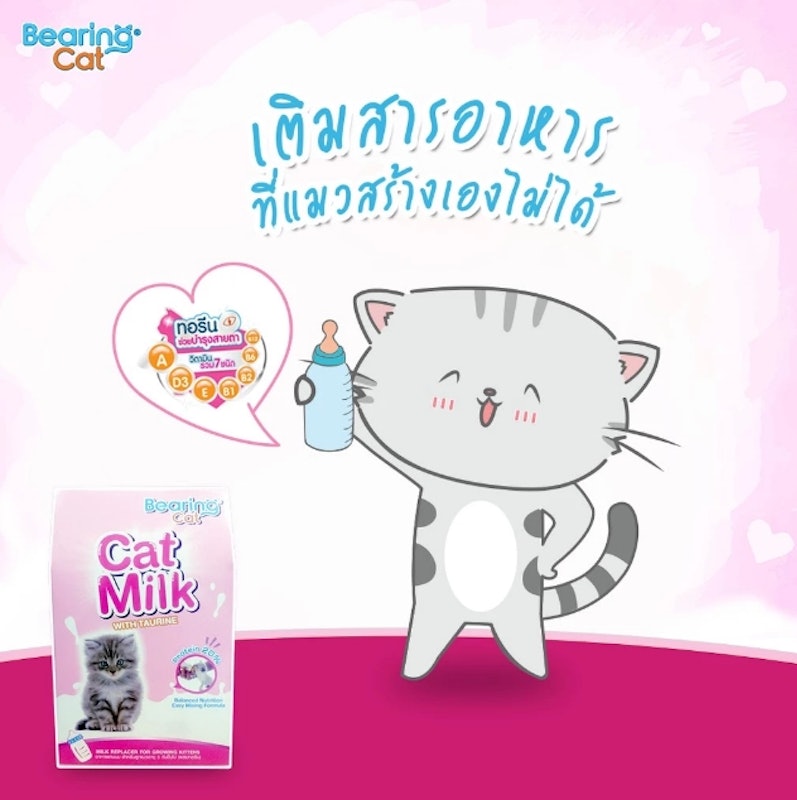นมผงสำหรับลูกแมว Cat Milk With Casein 3