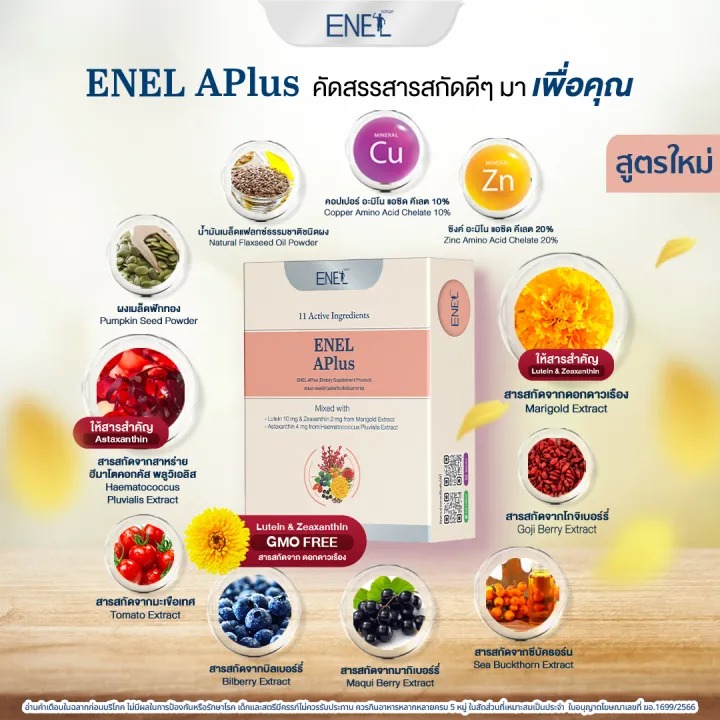 ENEL APlus  2
