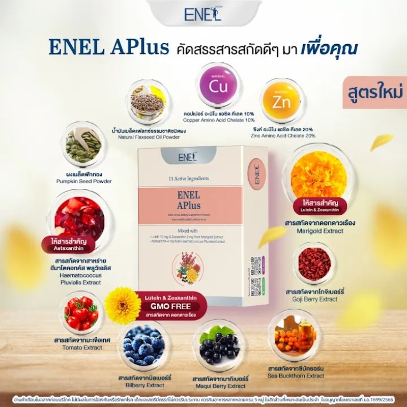 ENEL APlus 2