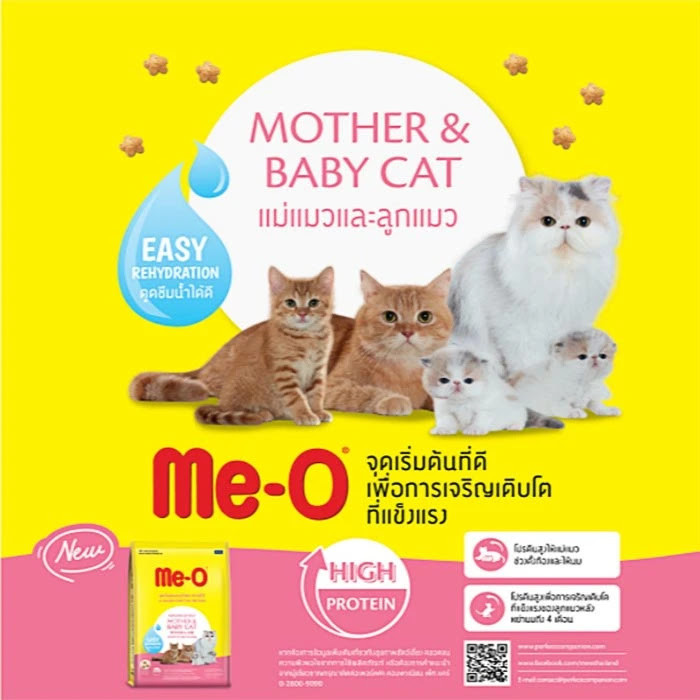 Mother & Baby Cats 3