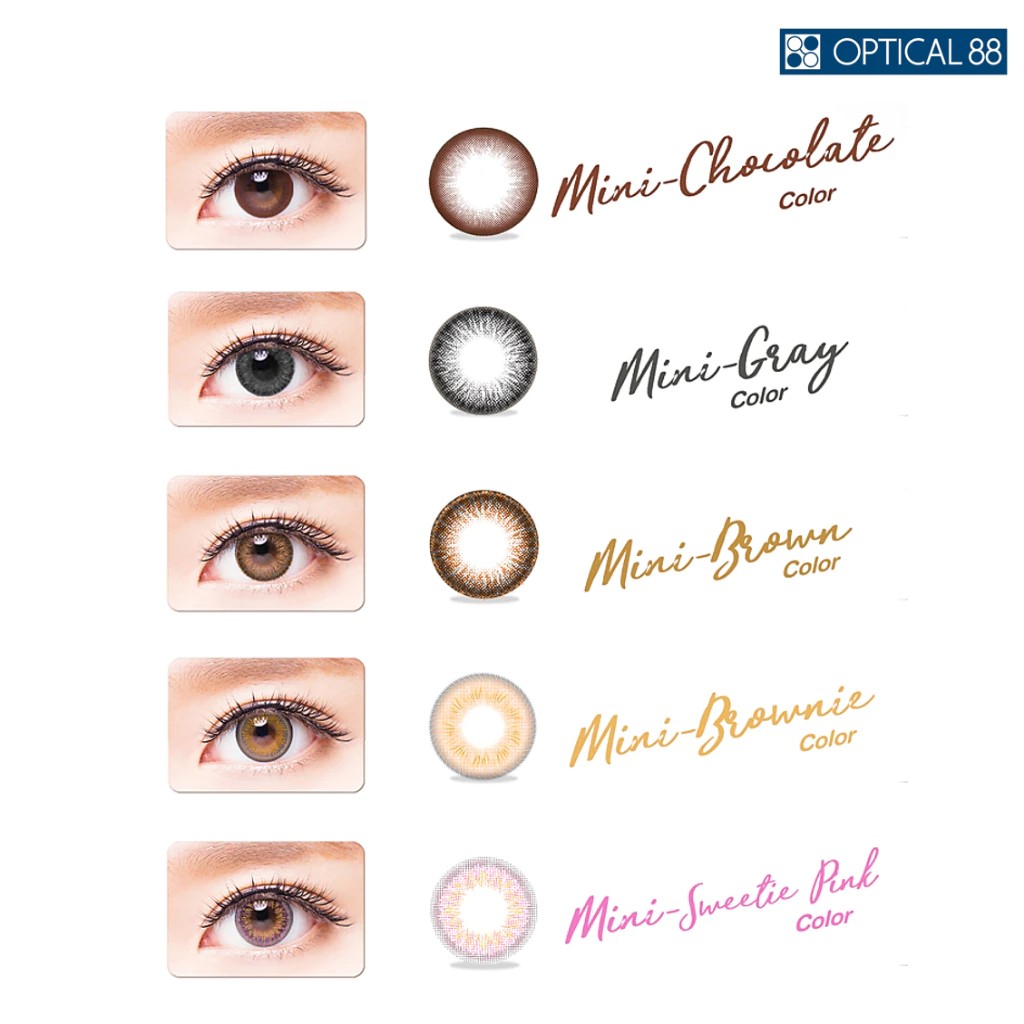 Mini Colors (2P) สี Brown 3