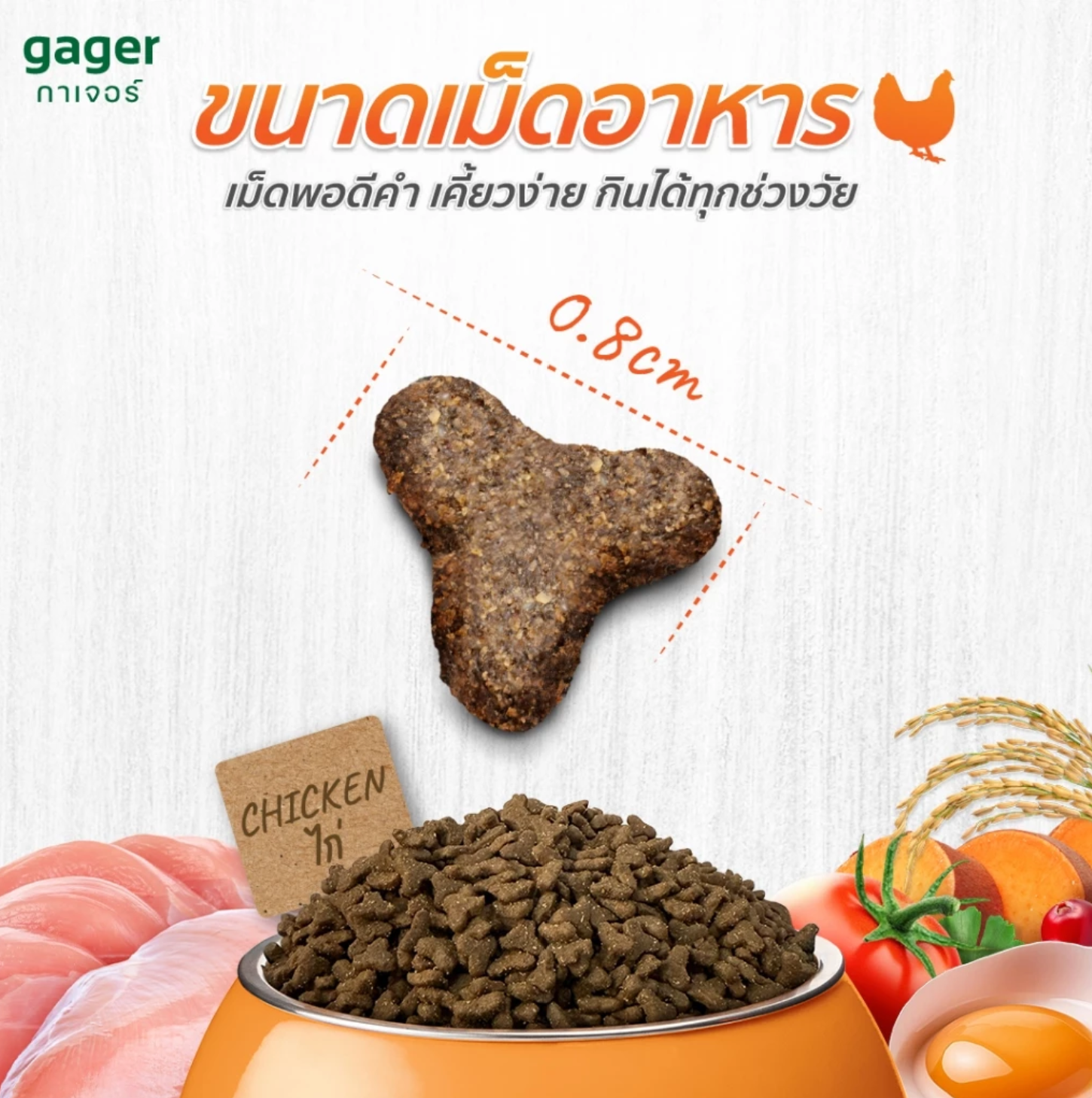 อาหารแมว กาเจอร์ โฮลิสติก สูตรไก่ 3