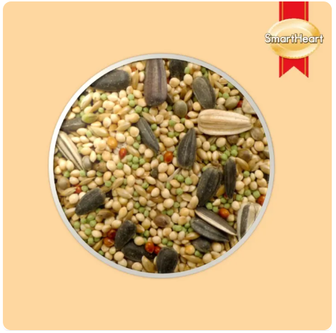 Cockatiel & Lovebird Bird Food 2