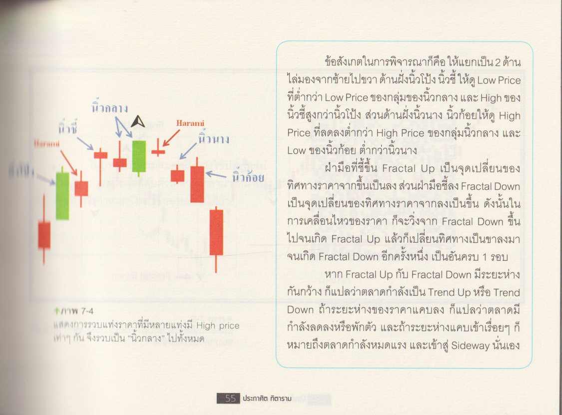 หนังสือโต้คลื่นหุ้น เทคนิคทำกำไรทะลุฟ้า 3