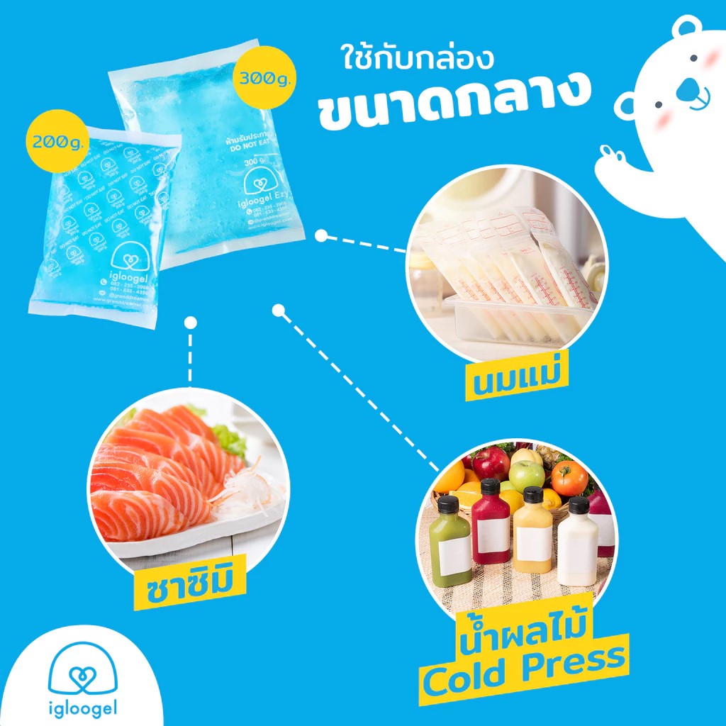 Ice Pack Ezy 2