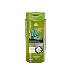 แชมพู BHC V2 Anti Hair Loss