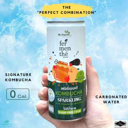 Kombucha Sparkling 3