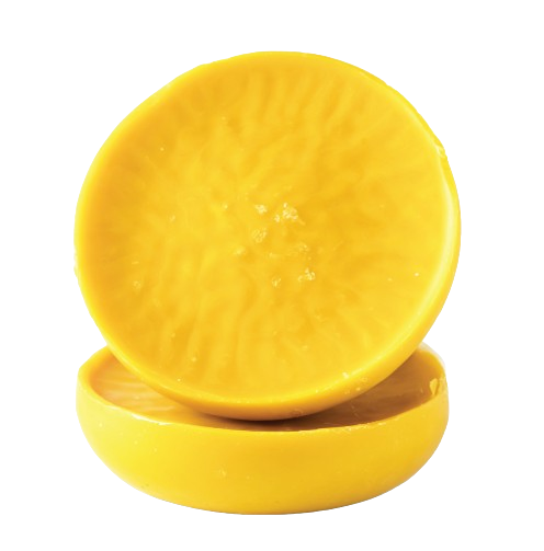 Golden Bee 1
