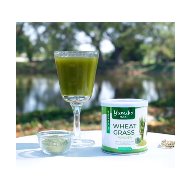ต้นอ่อนข้าวสาลี Wheat Grass 2