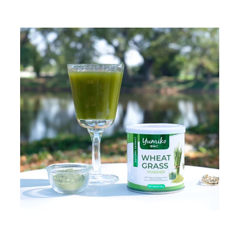 ต้นอ่อนข้าวสาลี Wheat Grass 2