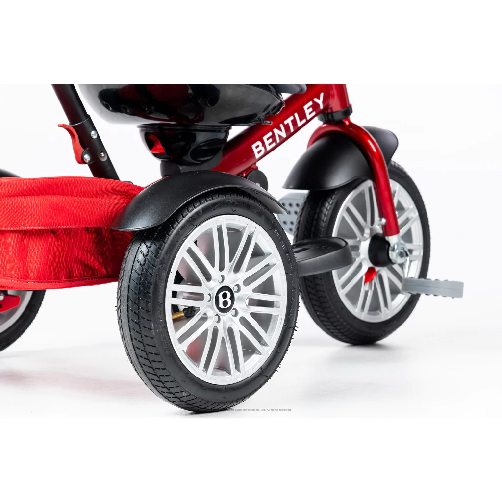 Tri Cycle 6 in 1 Stroller Trike 2