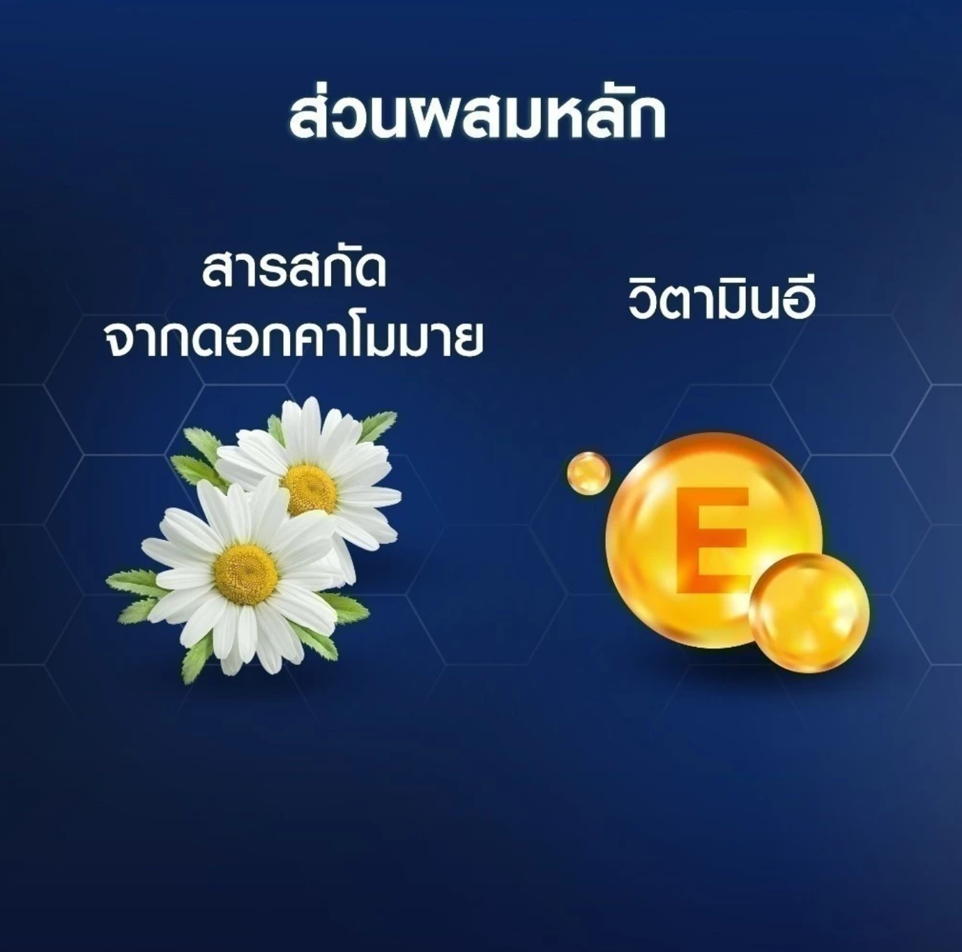 โพรเทค แอนด์ แคร์ เชฟวิ่ง โฟม Sensitive Protect Shaving Foam 3