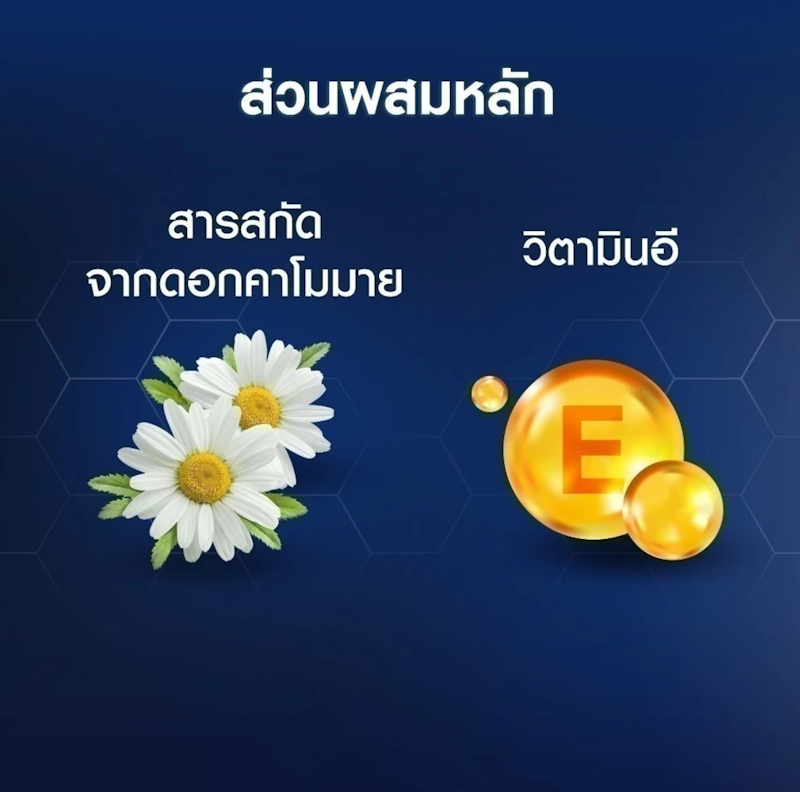 โพรเทค แอนด์ แคร์ เชฟวิ่ง โฟม Sensitive Protect Shaving Foam 3